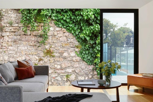 Vlies Fototapete - Steinmauer mit Blättern 375 x 250 cm